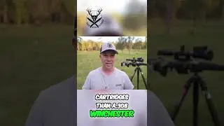 Why I Use .308 Winchester: Ammo, Codes, and the .223 Dilemma!