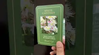The Bach Therapy In Sight Cards