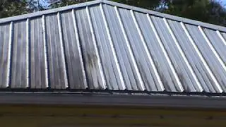 Metal roof cleaning with no pressure, no walk on. C. Bergman *Pressure Washing Too!