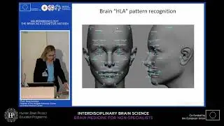 Lecture 2: Anat Achiron - Neuroimmunology: The brain as a cognitive antigen
