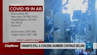 ICU patients, active cases in Alberta drop again Saturday