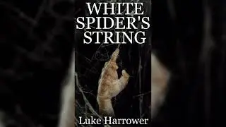 White Spider's String: Horror/Comedy Audiobook by Luke Harrower