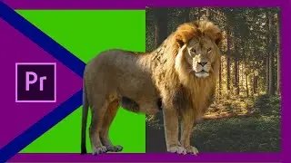 How to Use Green Screen in Premiere Pro|| First- rate