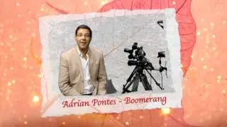 Almavision Radio Miami 87.7 Fm