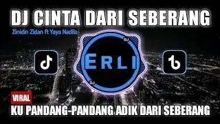 DJ Cinta Dari Seberang Zinidin Zidan ft Yaya Nadila Remix Viral Tiktok Terbaru 2025