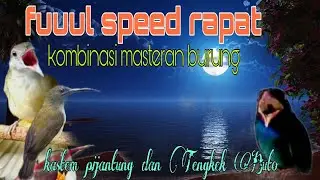 Masteran fuul speed rapat kastem pijantung dan Tengkek Buto 🔥🔥