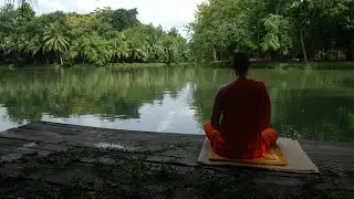 Sunday Dhamma Sermon|76|Salayatana Vibhanga Sutta - 04|Ven Panadure Chandaratana Thero|2022-03-27