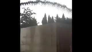 Conveyor belt removing dirt