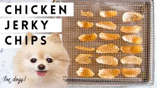 Вяленая курица из одного ингредиента // Домашние лакомства для собак