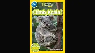 1.4 Duranno Library Climb Koala