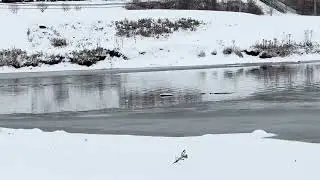 Pine Creek Walk Around Galeton Pa - First Snowfall 2025