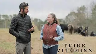 STOP Victimizing yourself the USDA - Bison vs Beef vs Buffalo