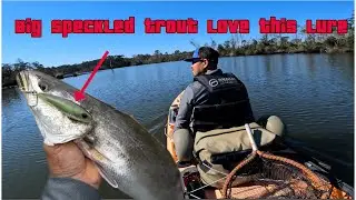 Big speckled trout love this lure - winter speckled trout fishing south Alabama river