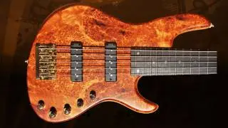Modern Jazz I 5 Cordas | André Vasconcellos | Nordstrand | John East | Eliezer Lara Guitars