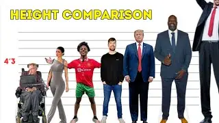 World Celebrities Ranked by Height | Data Visualization 2025