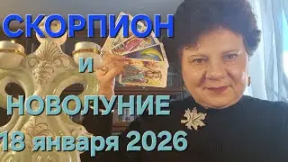 Скорпионы, а у Вас ГУЛЯНОЧКА! 🤣 Новолуние в 3 доме.