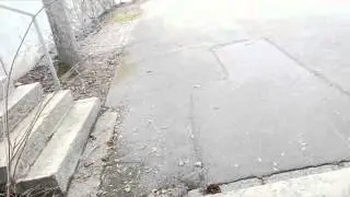 Bergamont kiez dirt