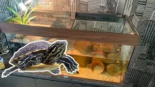 The ULTIMATE 40 Gallon  DIY TURTLE Tank: Update