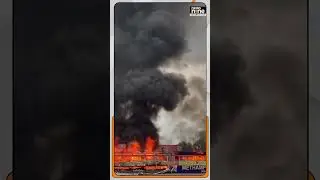 Drugs | Myanmar burns $446 million worth of seized drugs | news9