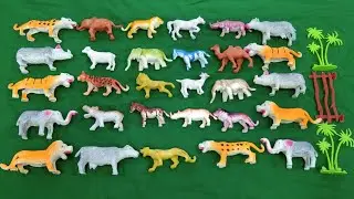 Animal Toys For Kids || Animal Toys || Kids Toys Videos||Animal Set@adiltoy123 @suaraanimals