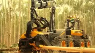 Cabe&ccedil;ote de Harvester Ponsse H77Euca - Expoforest 2014