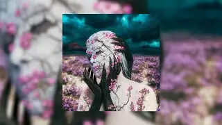 CAPRI - Carta (Intro) (Lyrics)