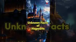 Hidden Facts of Hogwarts. #shorts #ytshorts #harrypotter #hogwarts #facts #fantasy