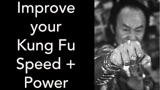 Get more Speed, Power, Accuracy in Kung Fu & other Martial Arts - Wisdom of Pan Qing Fu 潘清福