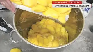 Dried Mango Fruit Processing Machine