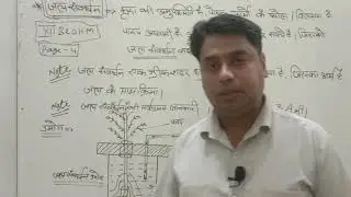 Water culture experiment