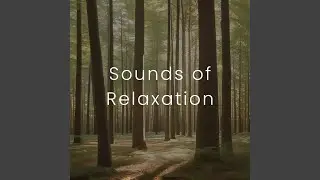 Serene Atmospheres
