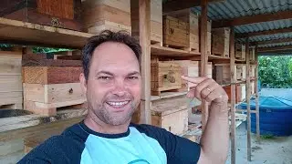 aten&ccedil;&atilde;o 😃 nos pre&ccedil;os de abelhas. quanto vale uma com&eacute;dia de manda&ccedil;aia!!!???