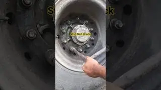Stag Nut Check