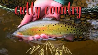 CUTTY COUNTRY | Summer Cutthroat in the High Country