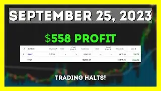 Day Trading Halts! $558 Profit Scalping $RNAZ Stock