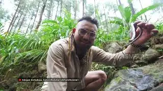 Xenodermus Javanicus, Ular Naga Yang Kulitnya Mirip Biawak! | KING OF THE JUNGLE (6/8/22) P3