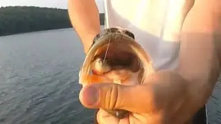 Badin Lake summer bass fishing