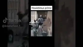 hawktimus prime #funny #meme