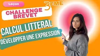 Le Développement en maths 3e, pas à pas