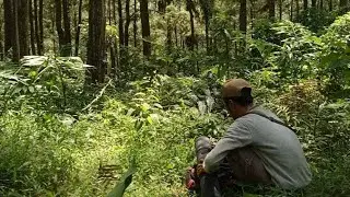 Lembah serayu, hiking suasana Pegunungan yang indah Bersantai sambil ngopi 