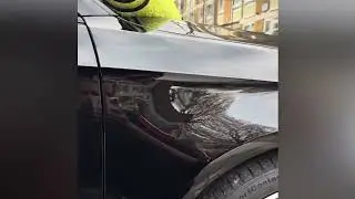 Car wash without hosepipe YumCars YUM RINSE-LESS