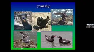 Seabird Monitoring volunteer training 2025