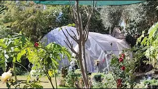انت تسال ونحن نجيب بث مباشر من حديقة ابو عبد الرحمن مدير قناة 