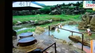Obihiro, Japan (Music by Dave Brubeck and Paul Desmond)
