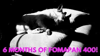 6 MONTHS OF FOMAPAN 400 | I was shocked by the results !