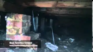 Termite Treatment Chemical Temite Spray - Melbourne - Best Termites Control