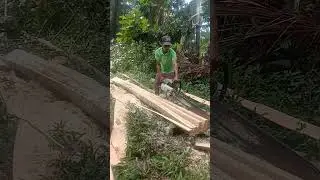 Oi mga ka chainsawman 