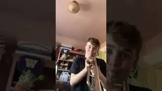 Too high! 😅 #trumpet #frenchhorn #music #band #halfnote #quarternote #musician #trumpetjazz #high