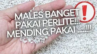 GOOD BYE PERLITE ❗❗🥹