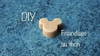Tuto - Friandises au thon pour chien et chat